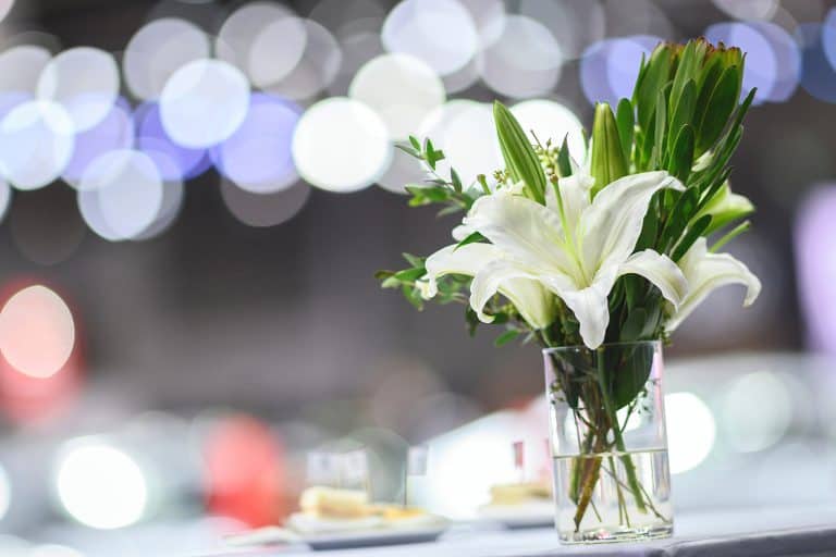 Funeral Reception Venue in Wolverhampton Molineux Stadium